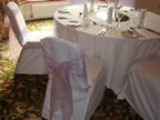 White Chair Cover Hire